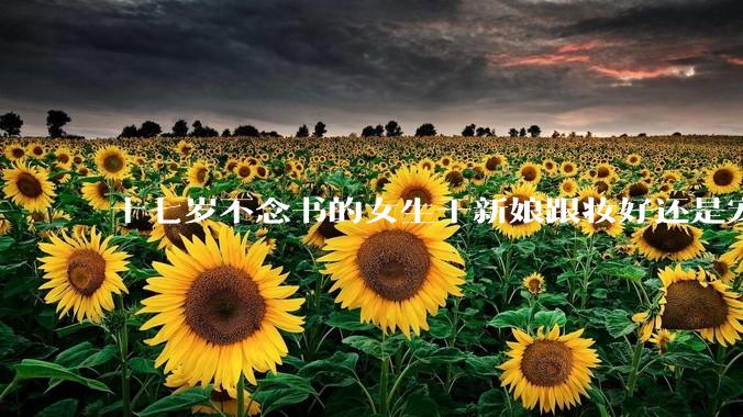 十七岁不念书的女生干新娘跟妆好还是宠物兽医好还是护士好？