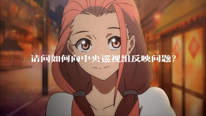 请问如何向中央巡视组反映问题？