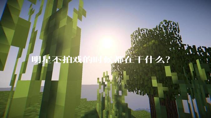 明星不拍戏的时候都在干什么？