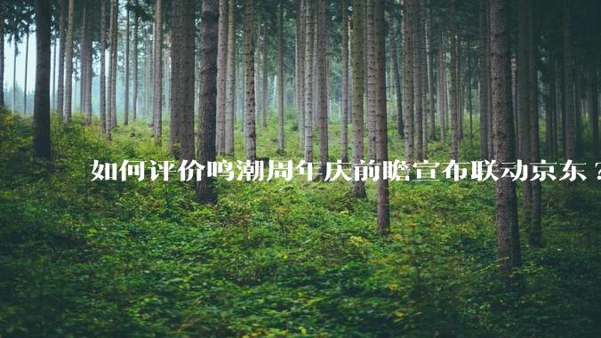 如何评价鸣潮周年庆前瞻宣布联动京东?